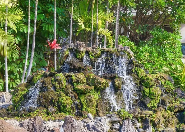 Aloha Moon - A Chic And Dreamy Modern Tropical Hideaway!