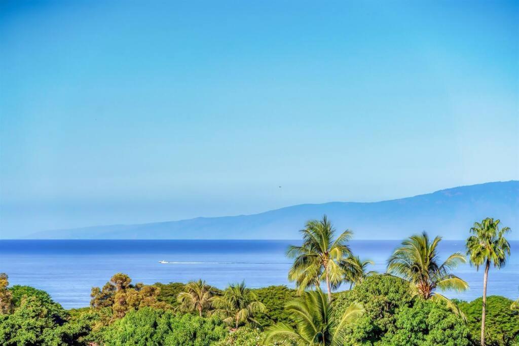 Aloha Moon - A Chic And Dreamy Modern Tropical Hideaway!